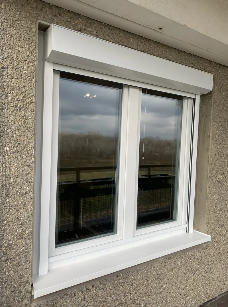 IMG_3920.HEIC-scaled-web